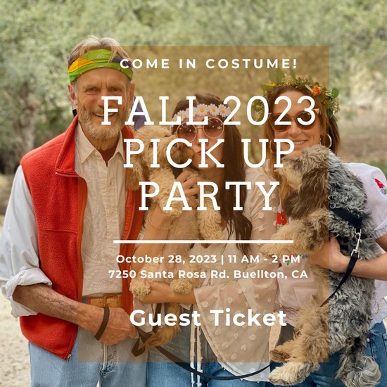 Fall 2023 Pick-Up Party, Guest Ticket 1